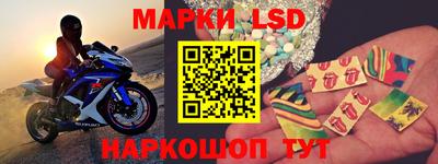 гидропоника Сланцы