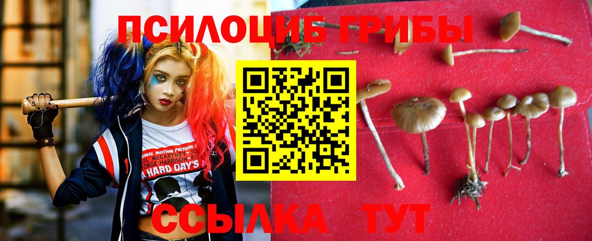 Галлюциногенные грибы Psilocybine cubensis  Псилоцибиновые грибы Magic Shrooms  Вход с VPN  Ногинск 