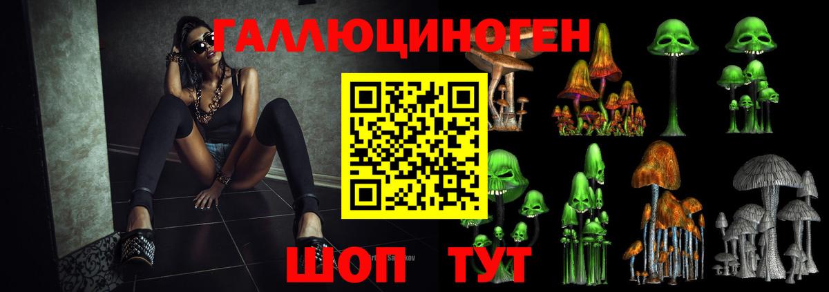 Галлюциногенные грибы Magic Shrooms Ногинск